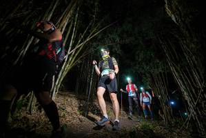 BIB: 
                            <button type="button" onclick="openModal(19394973)" class="btn btn-primary btn-sm float-right btn-popup" data-toggle="modal" data-target=".modal-high-quality">
                        <i class="fas fa-shopping-cart"></i> Add to Cart
                    </button>
                                            <button type="button" onclick="isThisMe(19394973, true)" class="btn btn-success btn-sm float-right btn-popup btn-isme hidden" data-toggle="tooltip" data-placement="bottom" title="นี่คือรูปของคุณใช่ไหม คลิกที่นี่เพื่อเอาเข้าอัลบั้ม">
                        <i class="fas fa-plus"></i> Add to album
                    </button>
                    <button type="button" onclick="isThisMe(19394973, false)" class="btn btn-warning btn-sm float-right btn-popup btn-isnotme hidden">
                        <i class="fas fa-ban"></i> Remove from album
                    </button>